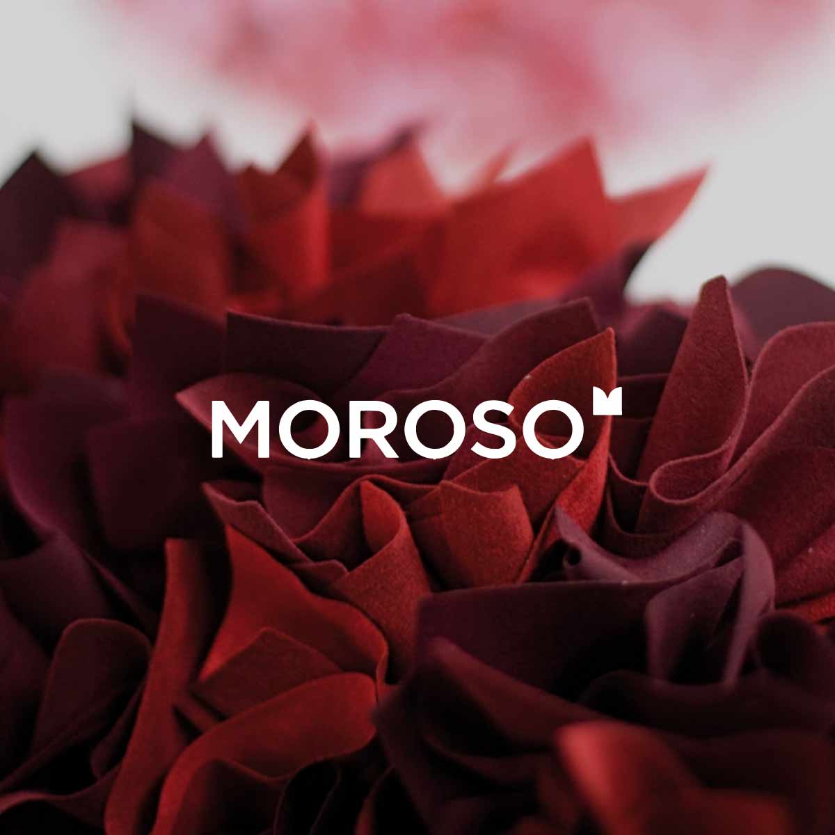 Moroso