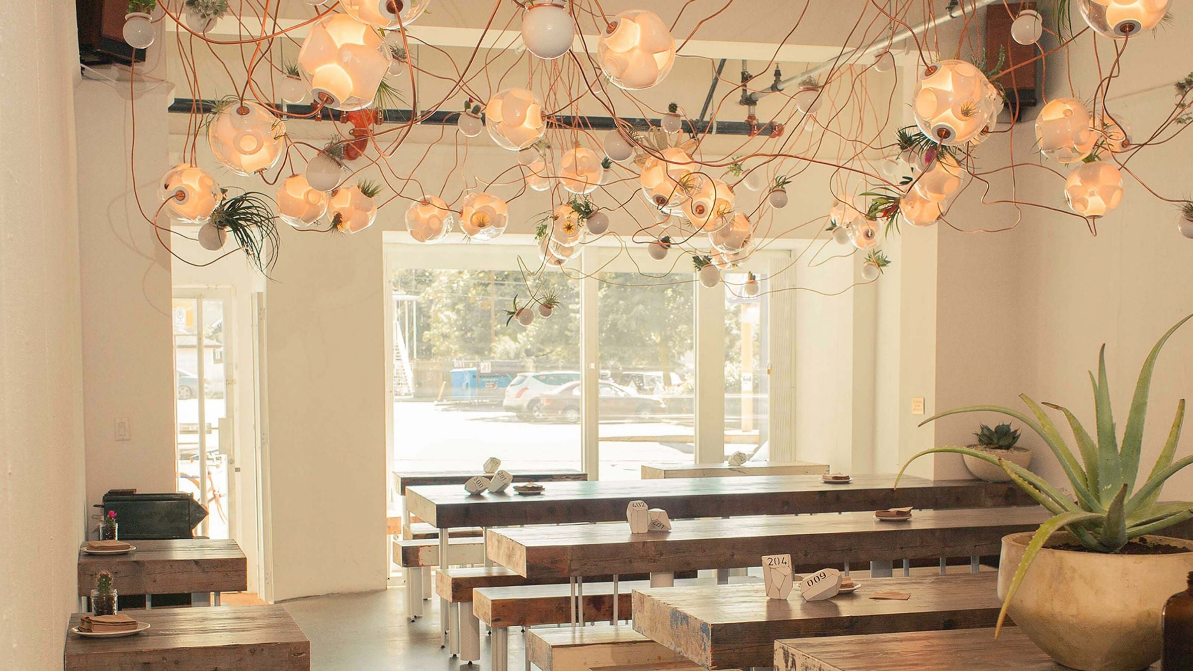 Suspended Lights