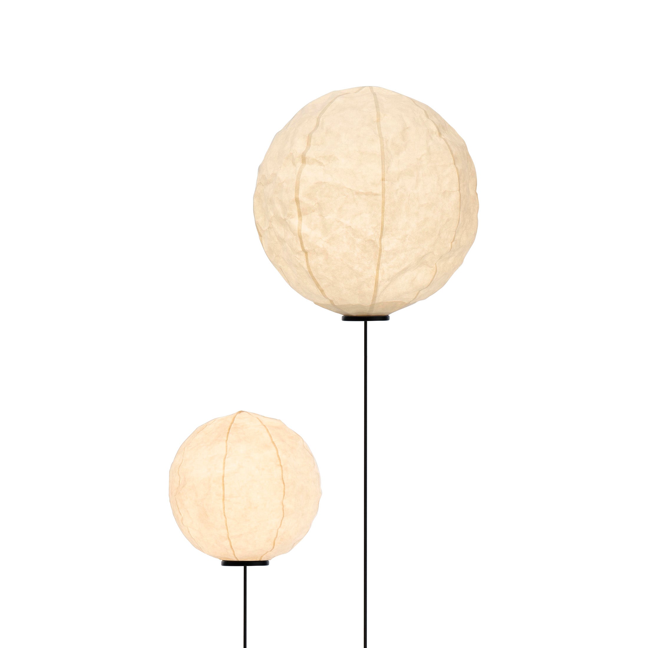 Cho Light by Established and Sons