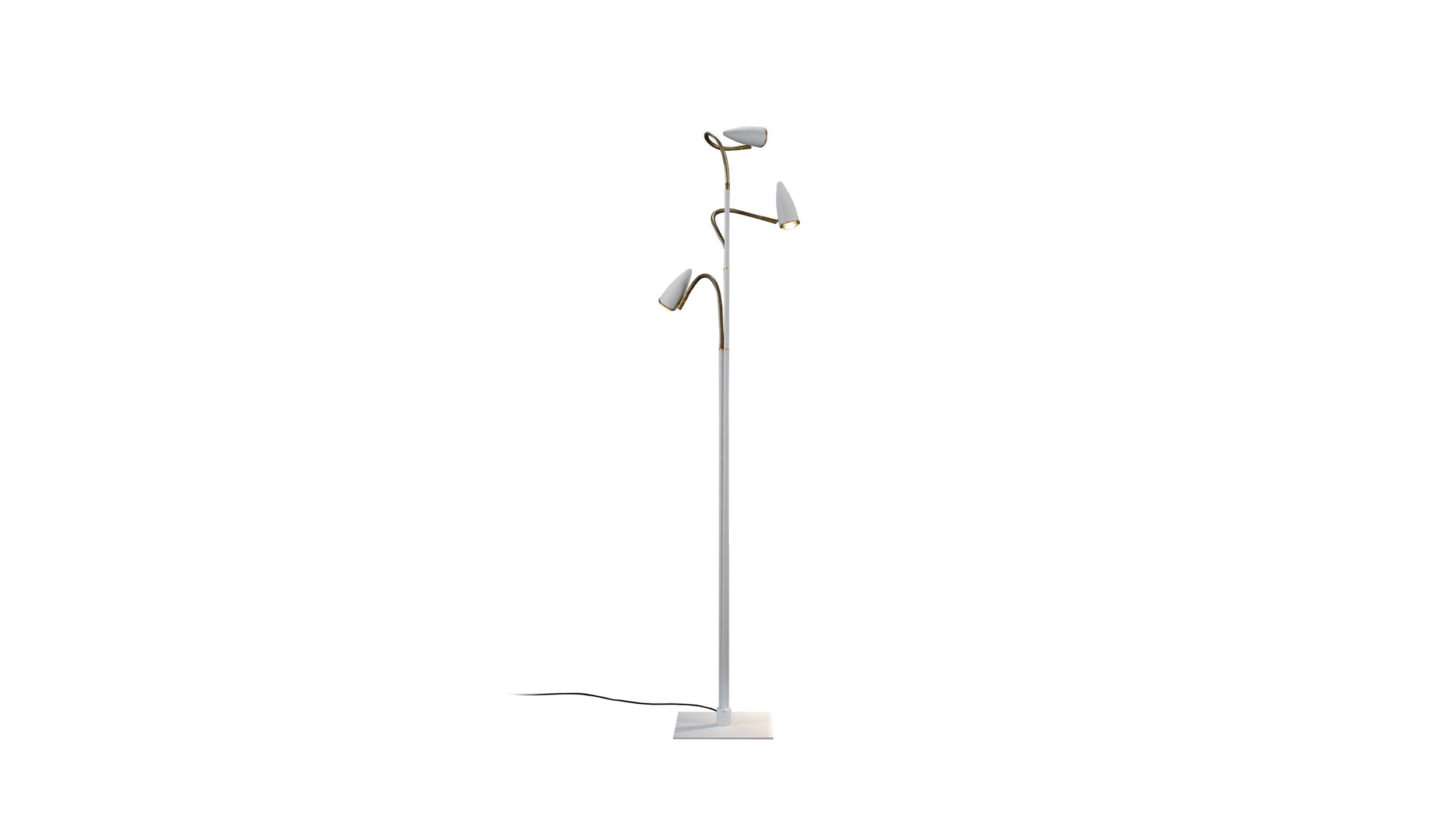Desktop / CicloItalia Flex Floor Lamp, by Catellani & Smith