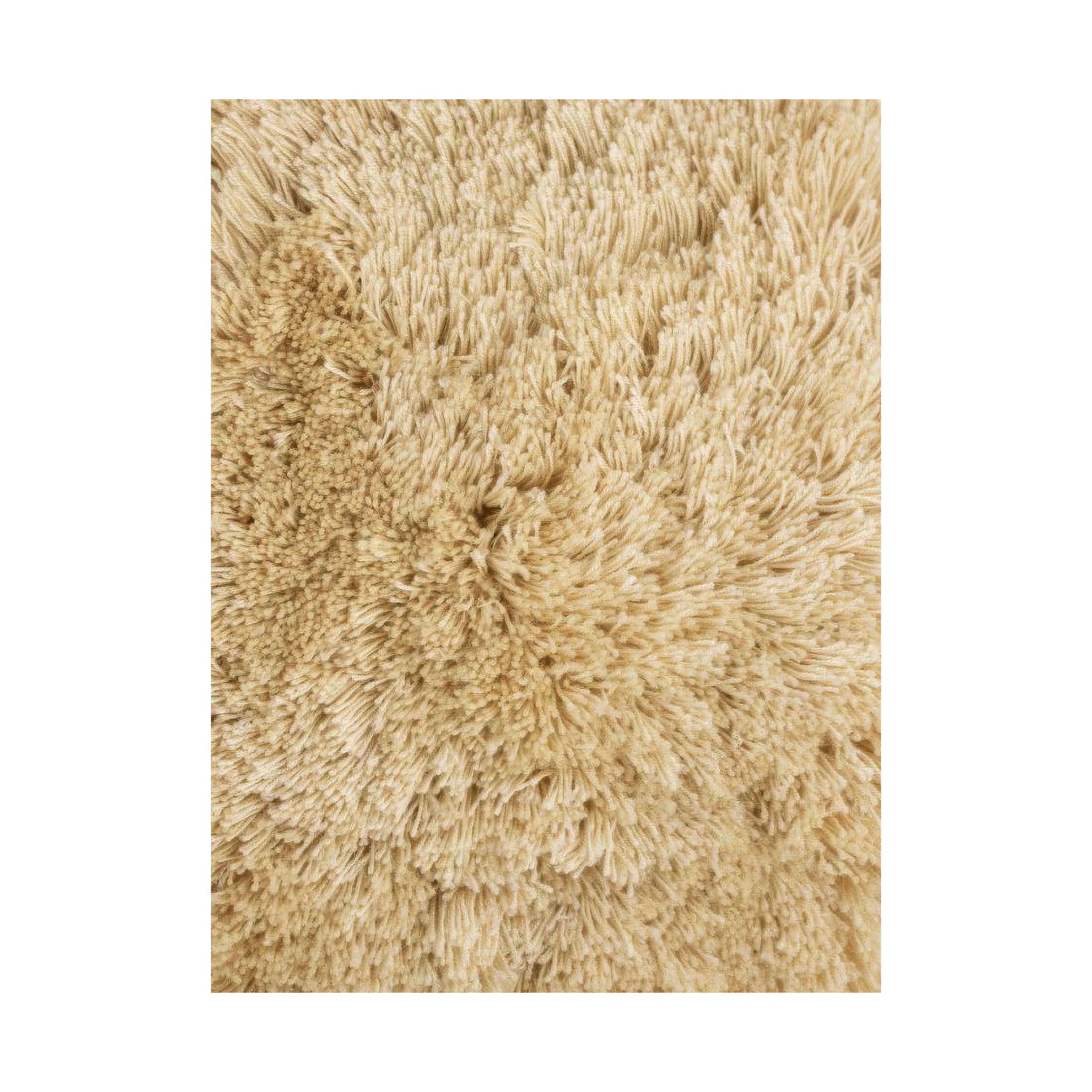 JOV Rug Class