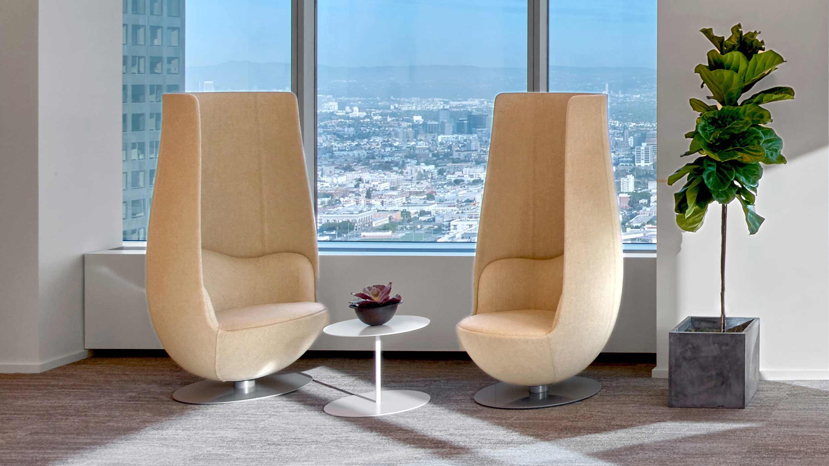 Desktop / Wanders' Tulip Armchair, designed by Marcel Wanders made by Cappellini