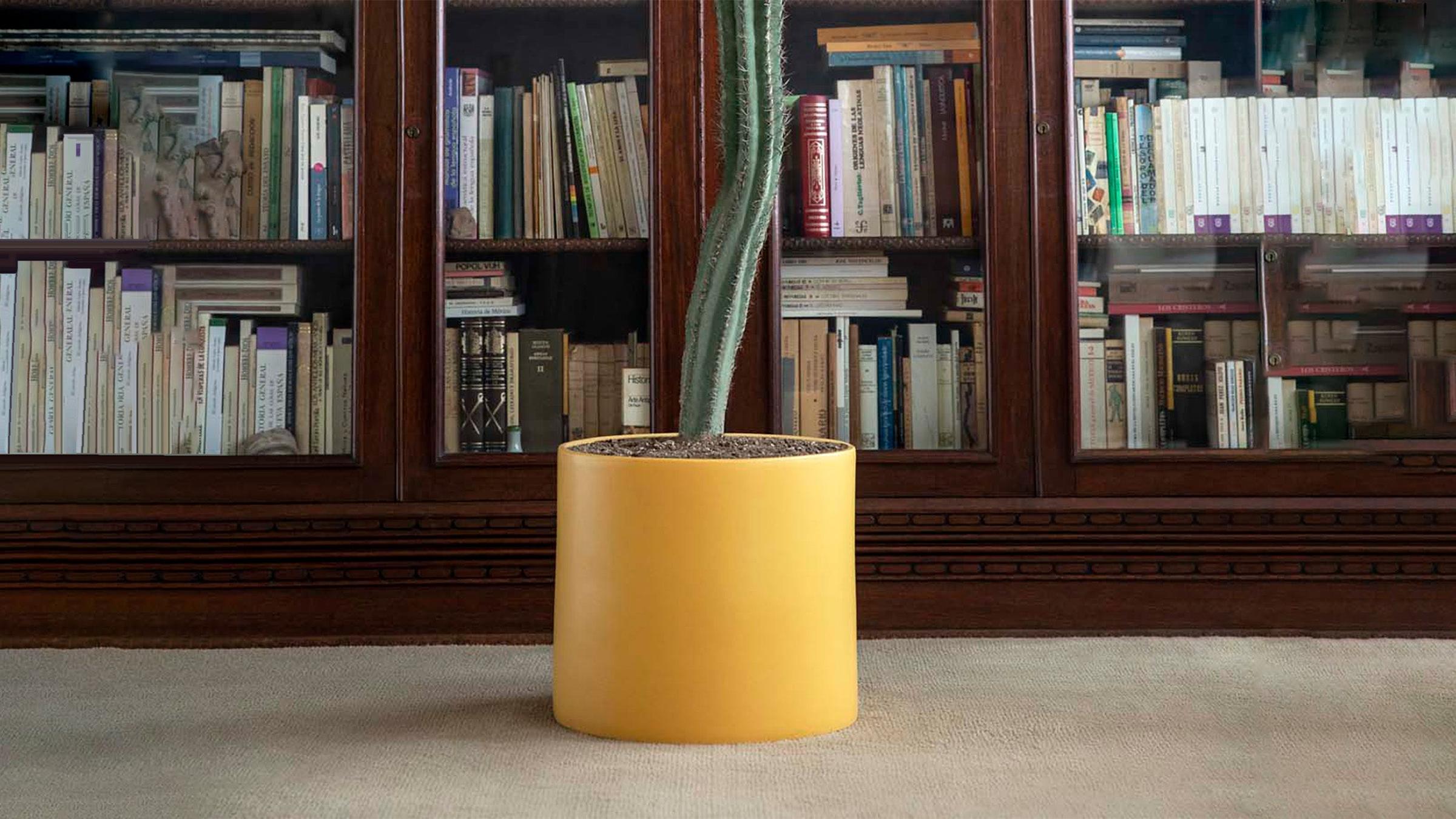 Monstruosus Planter Model One Ceramic Planter