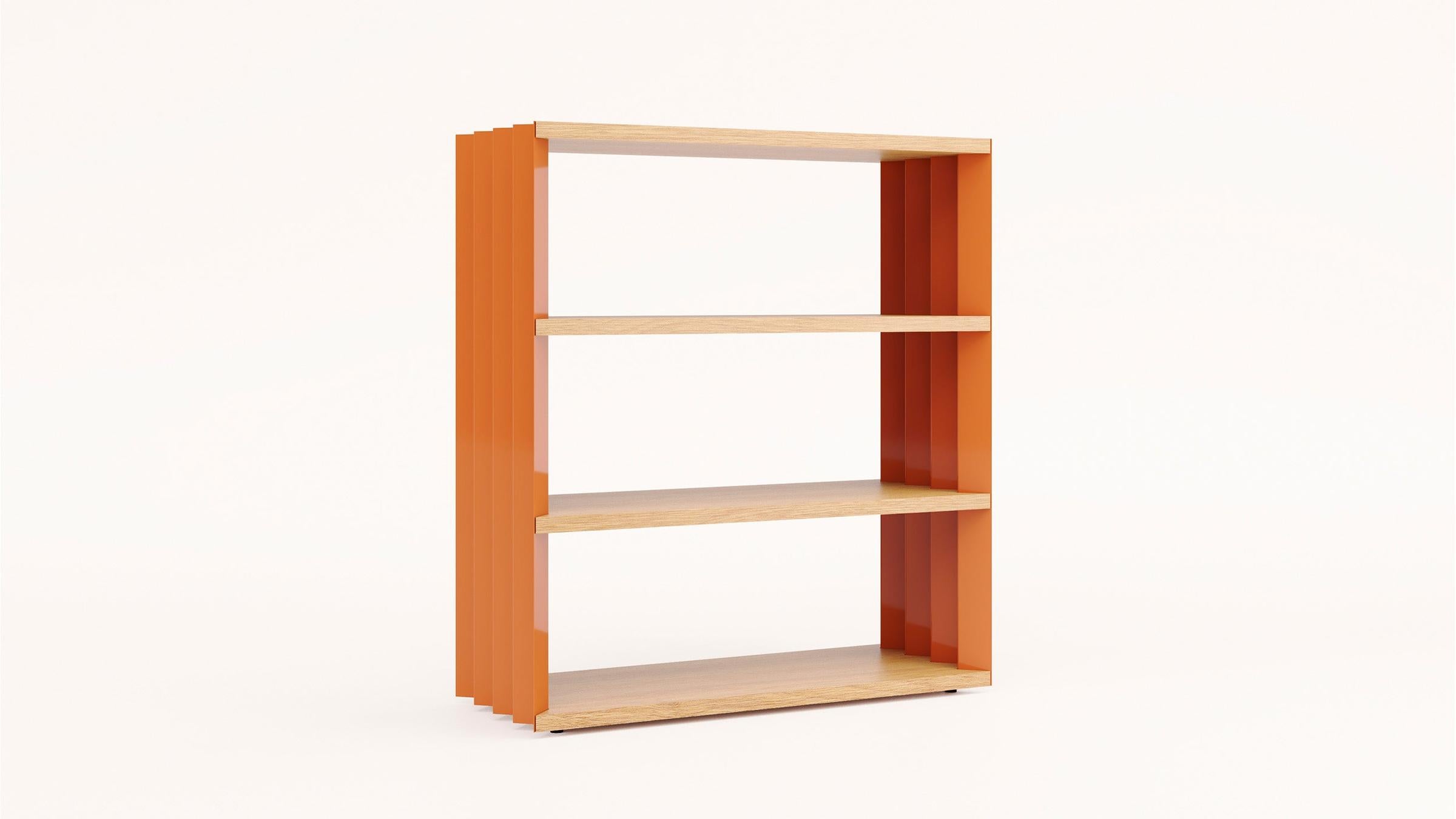 Zanotta Bookcase Z24 Books