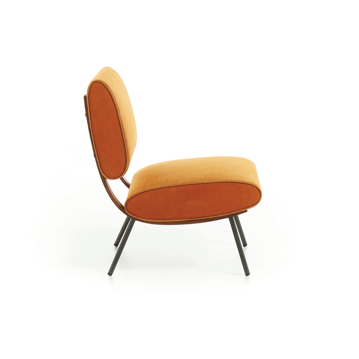 Molteni&C Chair ROUND D.154.5