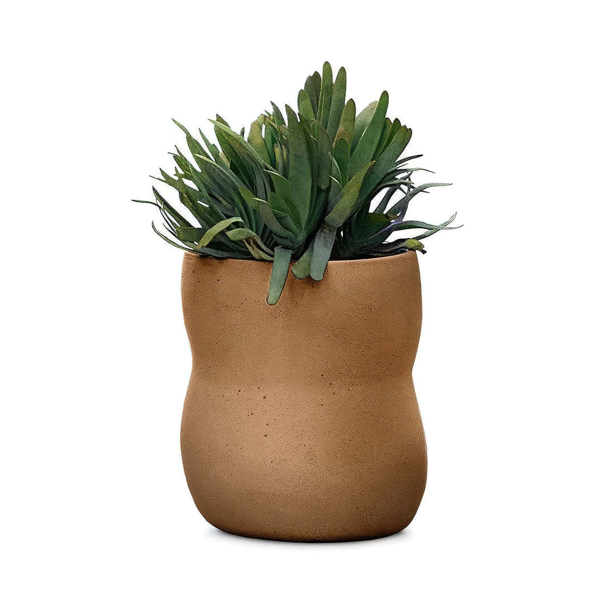 Indigenus Pebble by Glenn Pushelberg & George Yabu. A succulent plant with green leaves sits in a tan ceramic pot.