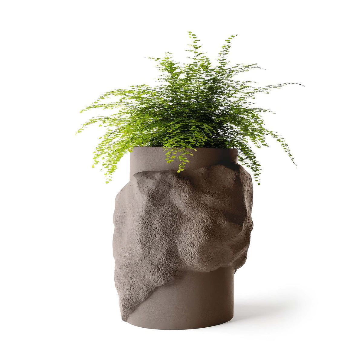 Indigenus Petra by Fernando Mastrangelo. A concrete head sculpture overflows with delicate green fern fronds.