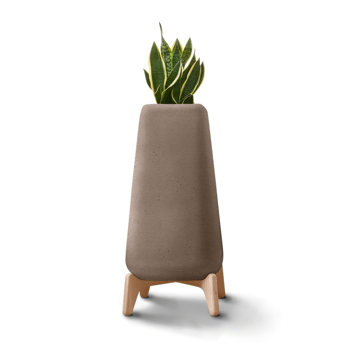 Indigenus Terra by Laurie Wiid van Heerden. A potted snake plant sits in a taupe concrete planter with wooden legs.