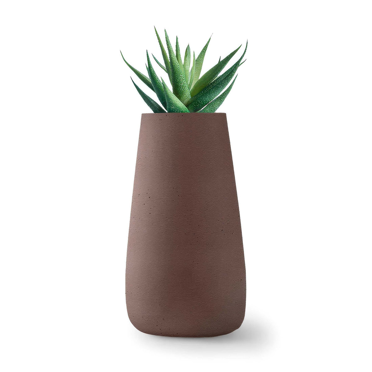 Indigenus Tuber by Haldane Martin. A succulent plant with green spiky leaves sits in a taupe concrete pot.