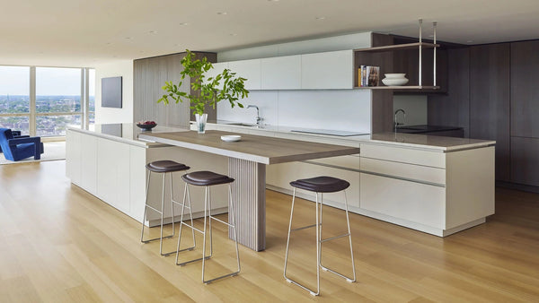 Mies Van Der Rohe Apartment