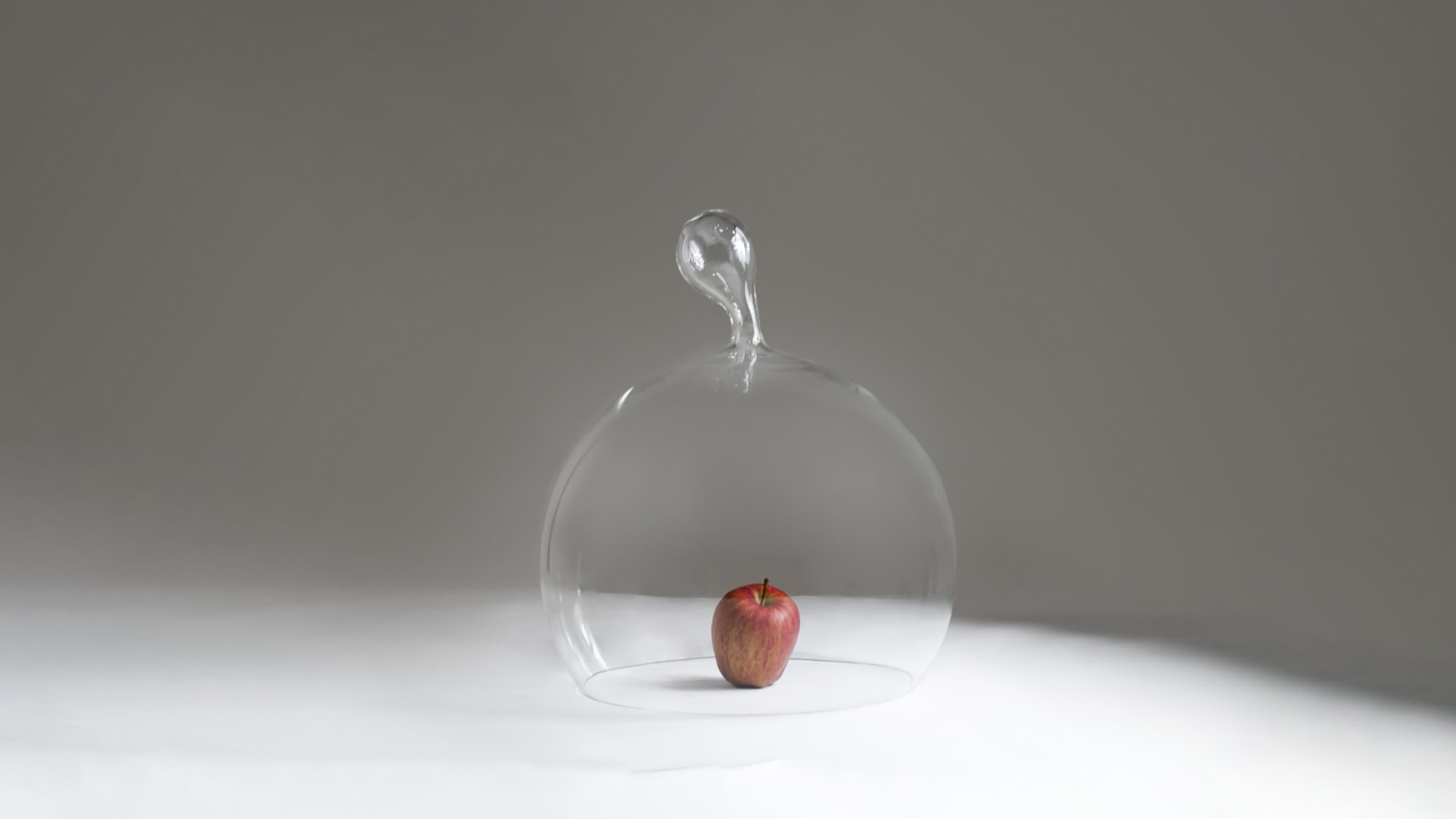 Desktop / WhiteMenu / Echoes Cloche