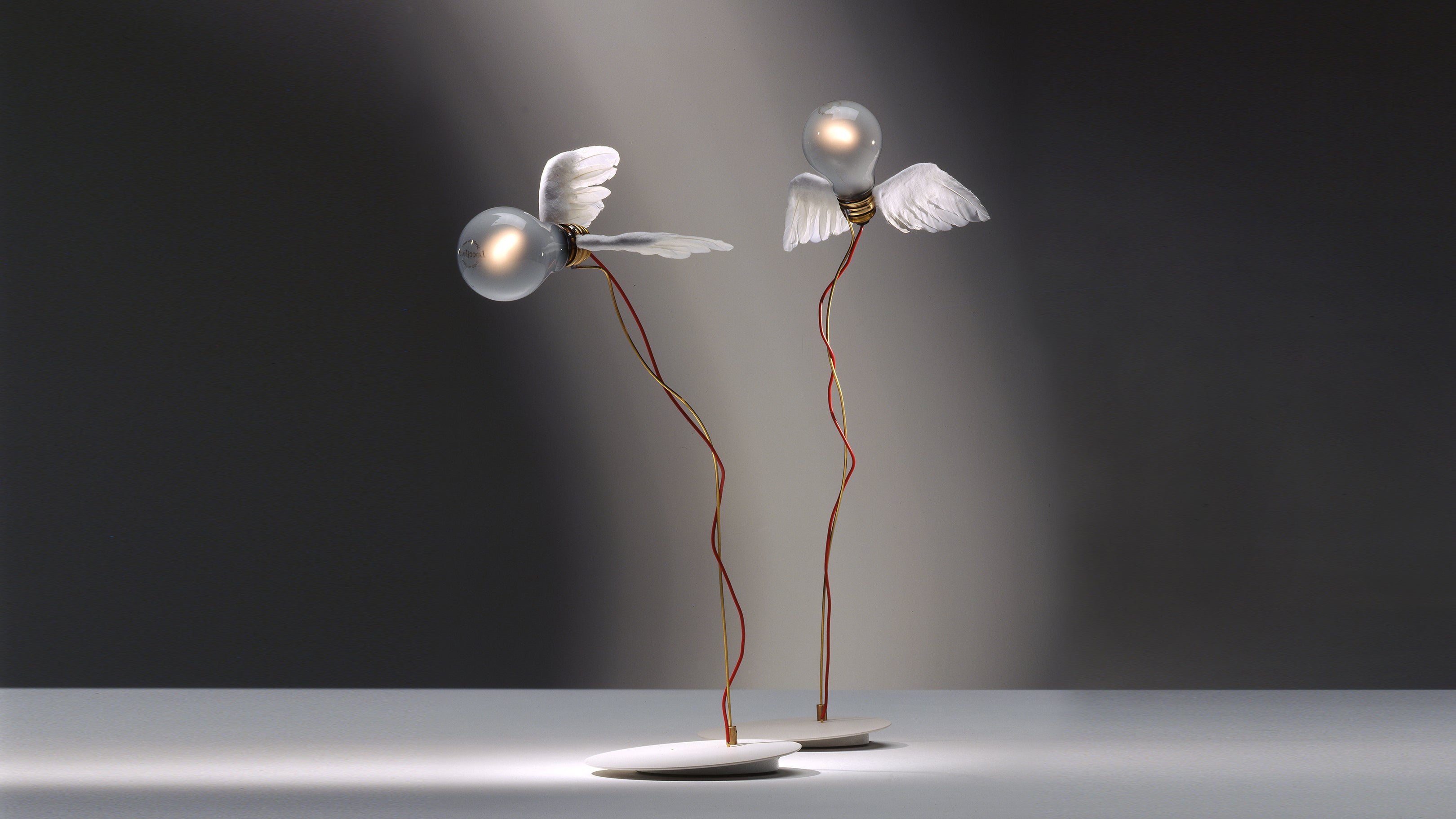 Desktop / WhiteMenu / Lucellino LED Table Lamp