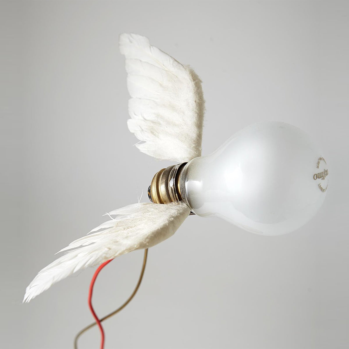 Mobile / WhiteMenu / Lucellino LED Table Lamp