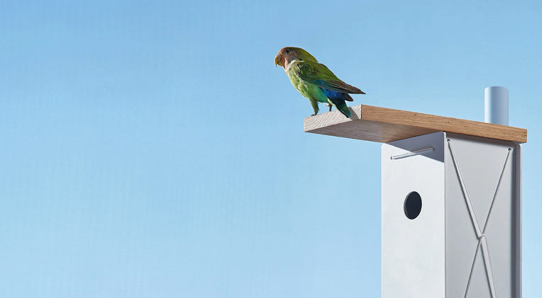 Outdoor > Birdhouses