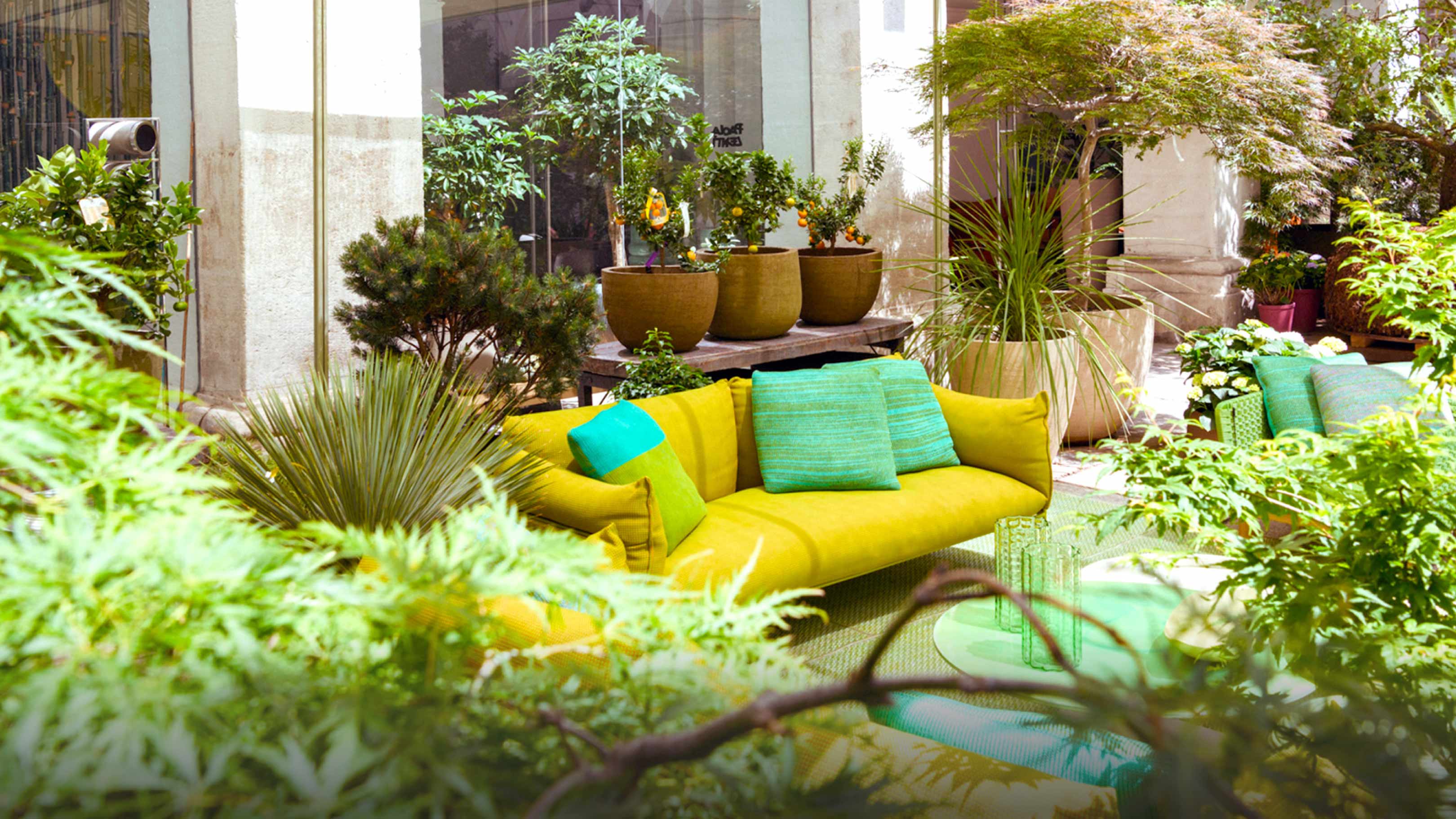 Paola Lenti