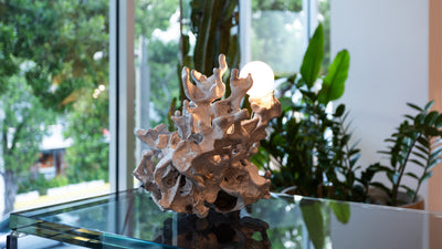 Desktop / 44t Table Lamp, designed by Omer Arbel for Bocci