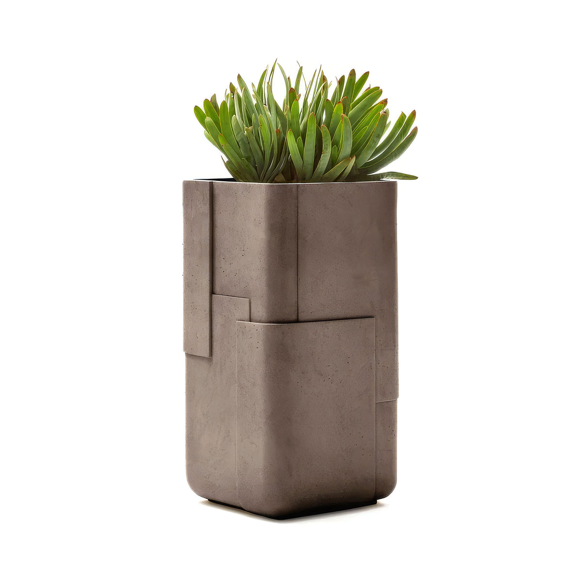 Indigenus Aarde by Sebastian Herkner. A green succulent plant sits in a modern taupe concrete planter.