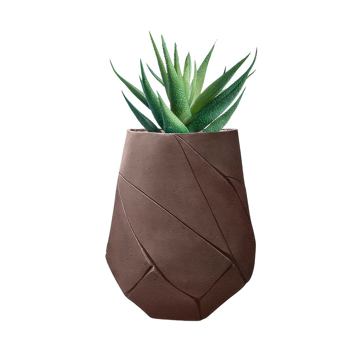 Indigenus Bhaca by Andile Dyalvane. A green succulent plant sits in a textured brown geometric pot.