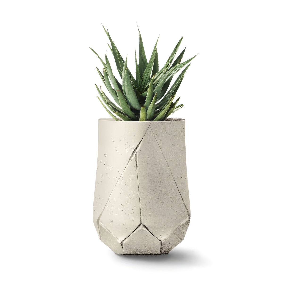 Indigenus Bhaca by Andile Dyalvane. A vibrant green succulent sits in a geometric concrete pot with a speckled finish.