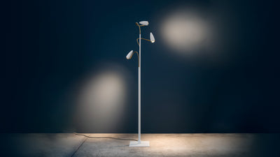 Desktop / CicloItalia Flex Floor Lamp, by Catellani & Smith