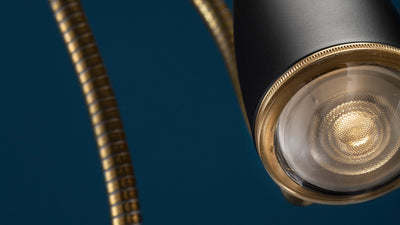 Desktop / CicloItalia Flex Floor Lamp, by Catellani & Smith