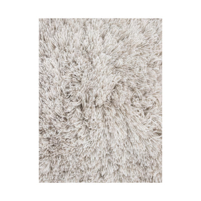 JOV Rug Class