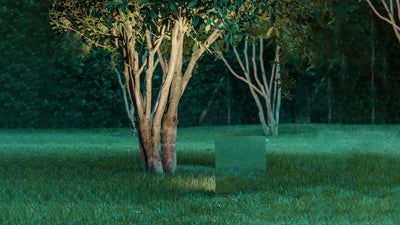 Desktop / WhiteMenu / Belladinotte Outdoor Floor Lamp, designed by Designed by Maurizio Mancini