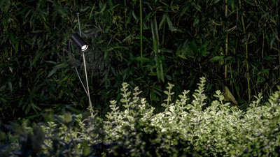 Desktop / WhiteMenu / Grillo, designed by Daniele Sprega