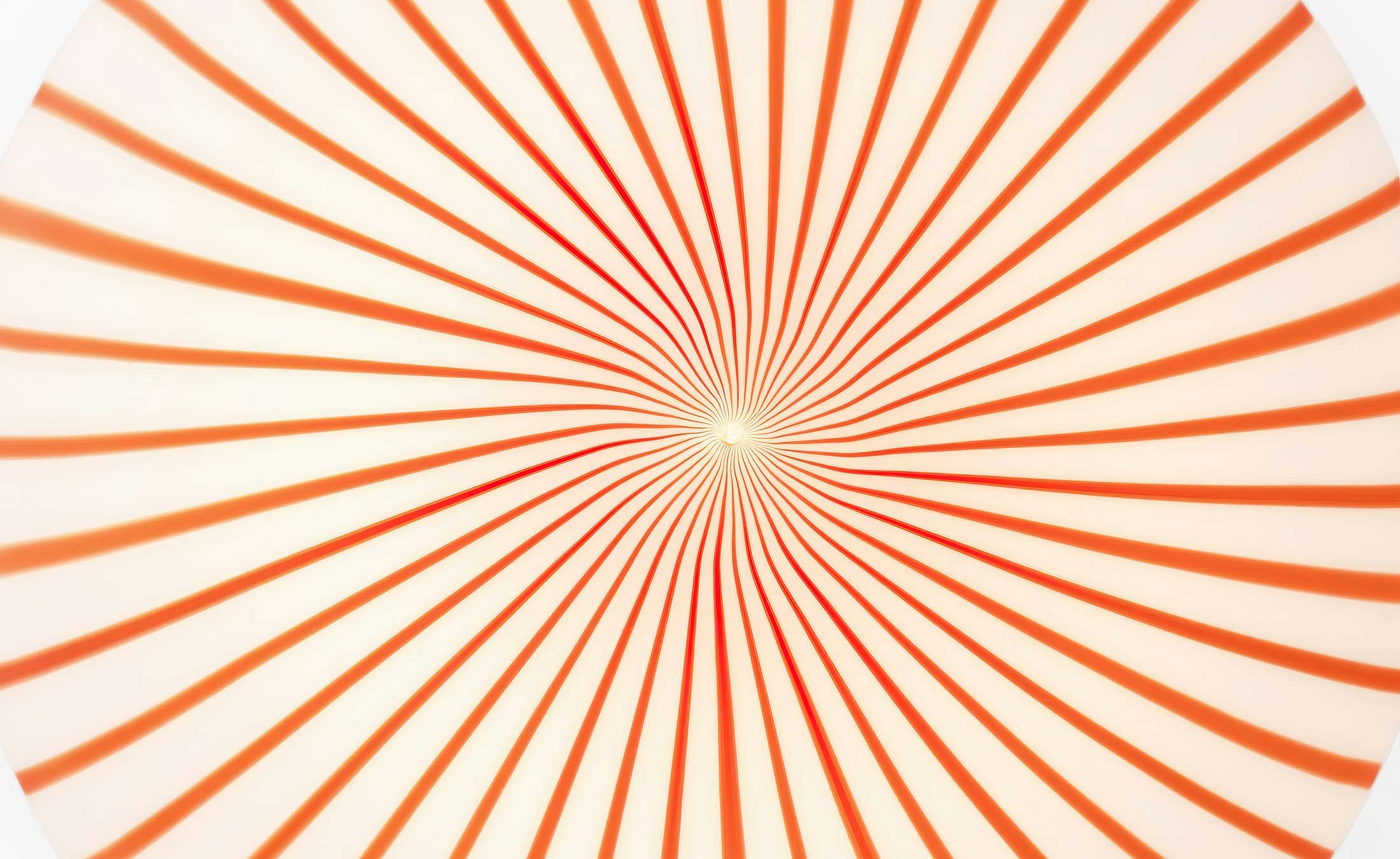Filigrana Ceiling Wall Light by Established and Sons