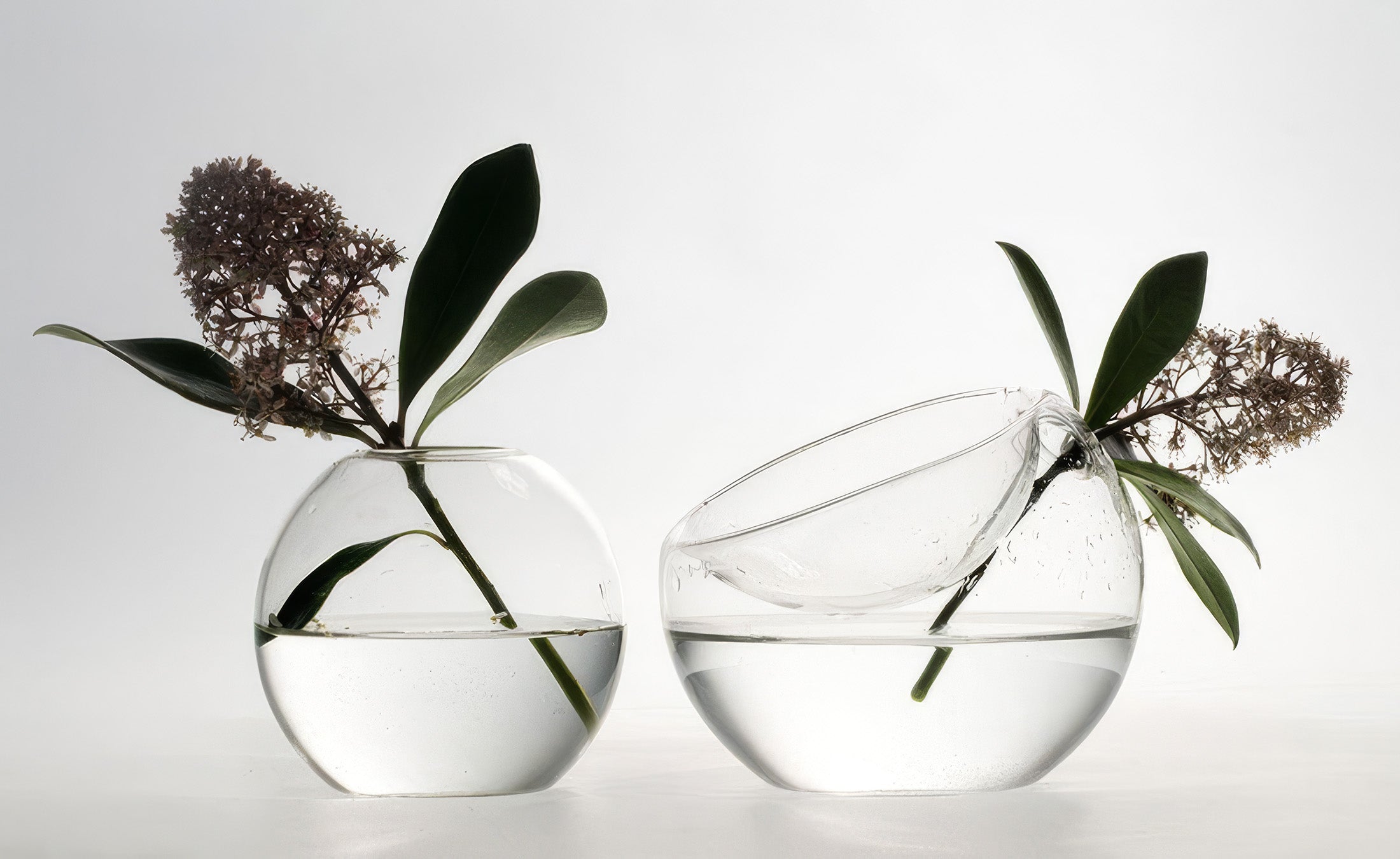 Laurence Brabant Editions Vase Inseparables Vase Duo