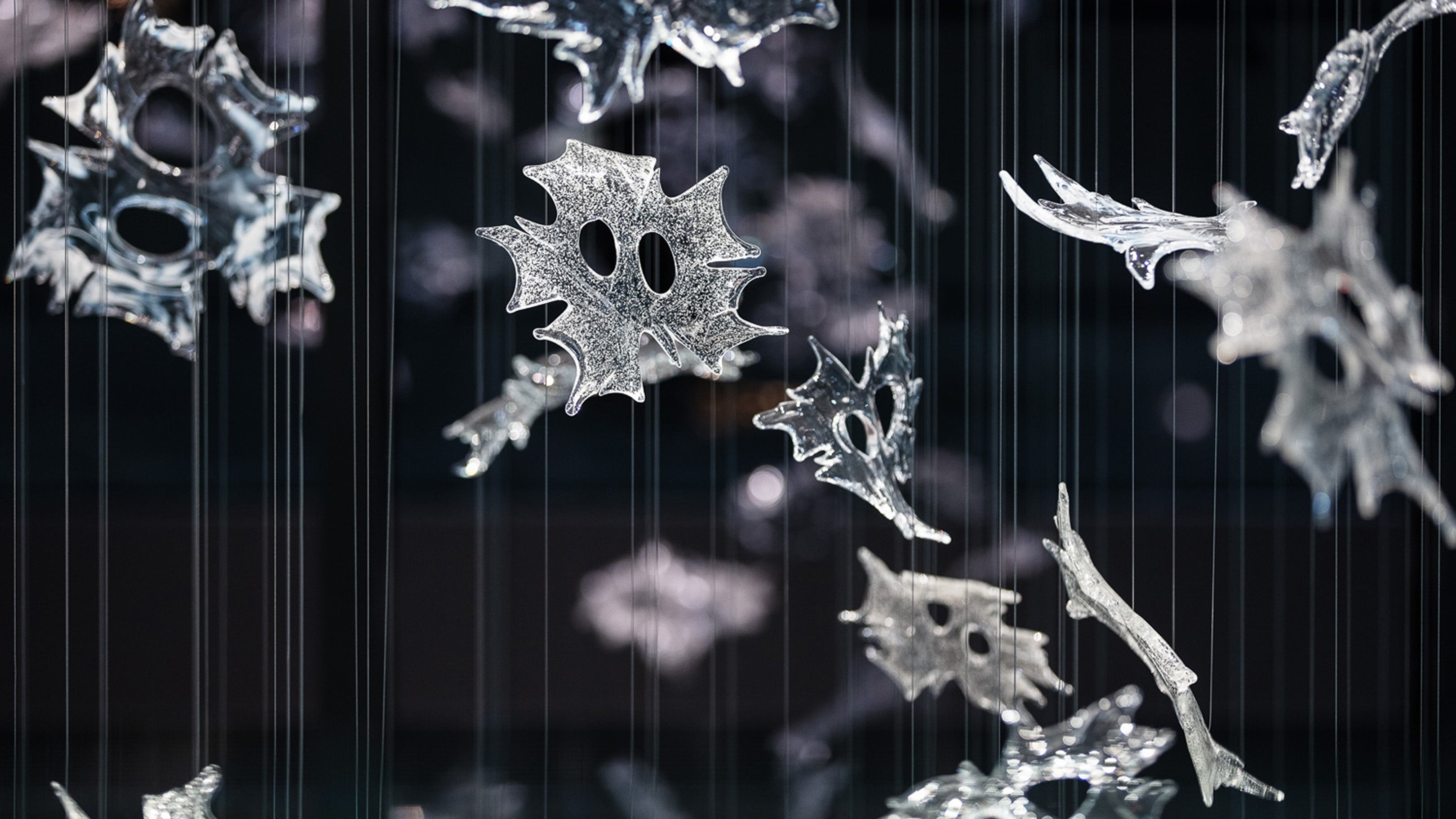 Desktop / WhiteMenu / Dancing Leaves by Luděk Hroch