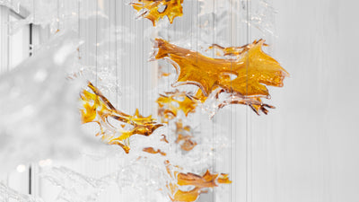 Desktop / WhiteMenu / Dancing Leaves by Luděk Hroch