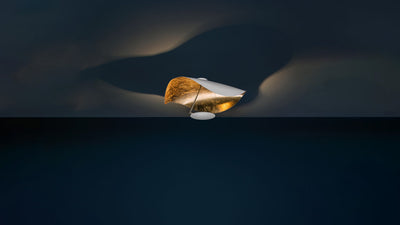 Desktop / Lederam Manta CWS1 by Catellani & Smith