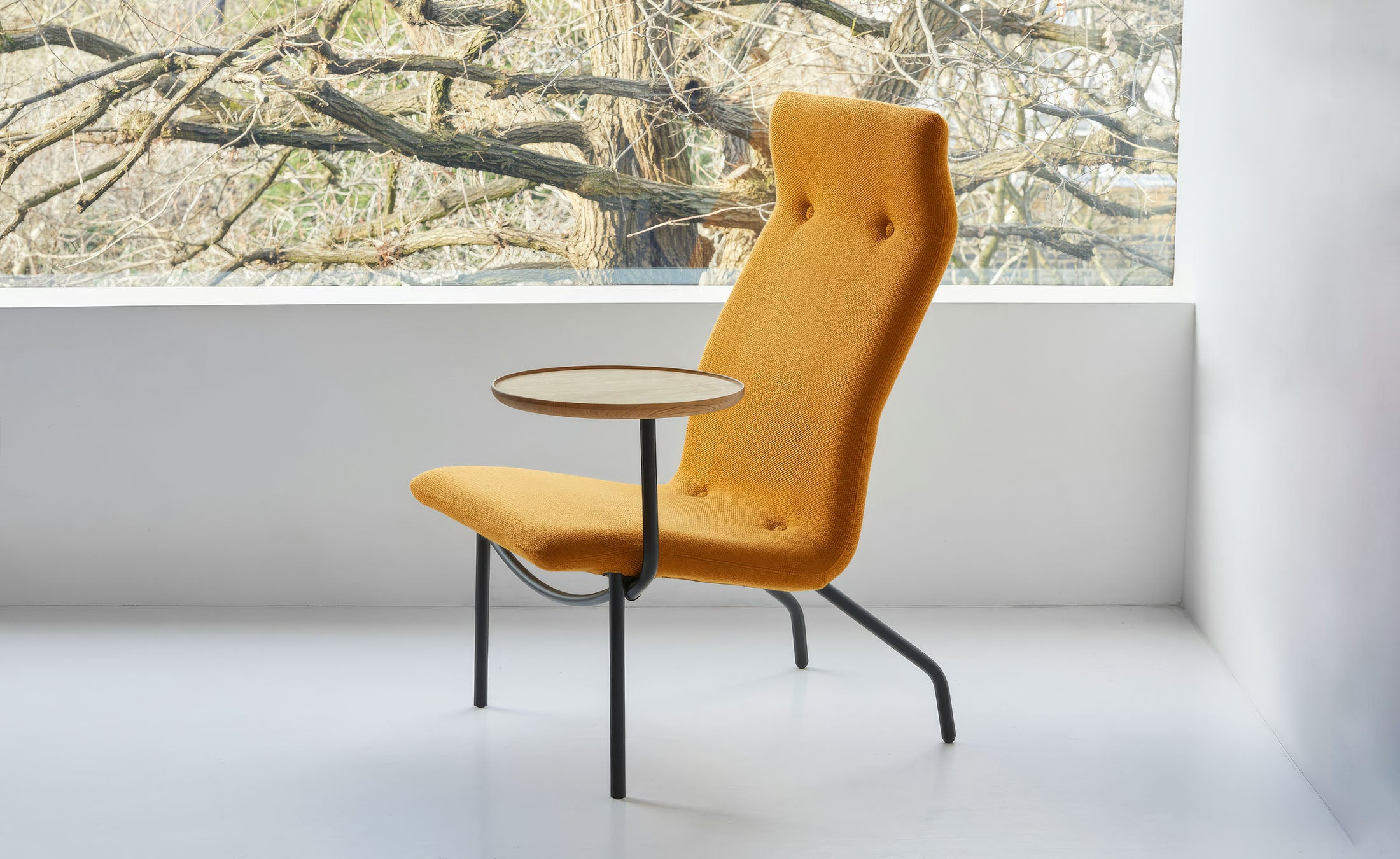 Lucio Chair by Established and Sons