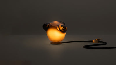 Desktop / WhiteMenu / 57t Table Lamp, designed by Omer Arbel
