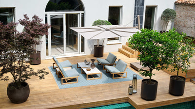 Desktop / Carlotta Outdoor Armchair, designed by Afra and Tobia Scarpa and made by Cassina