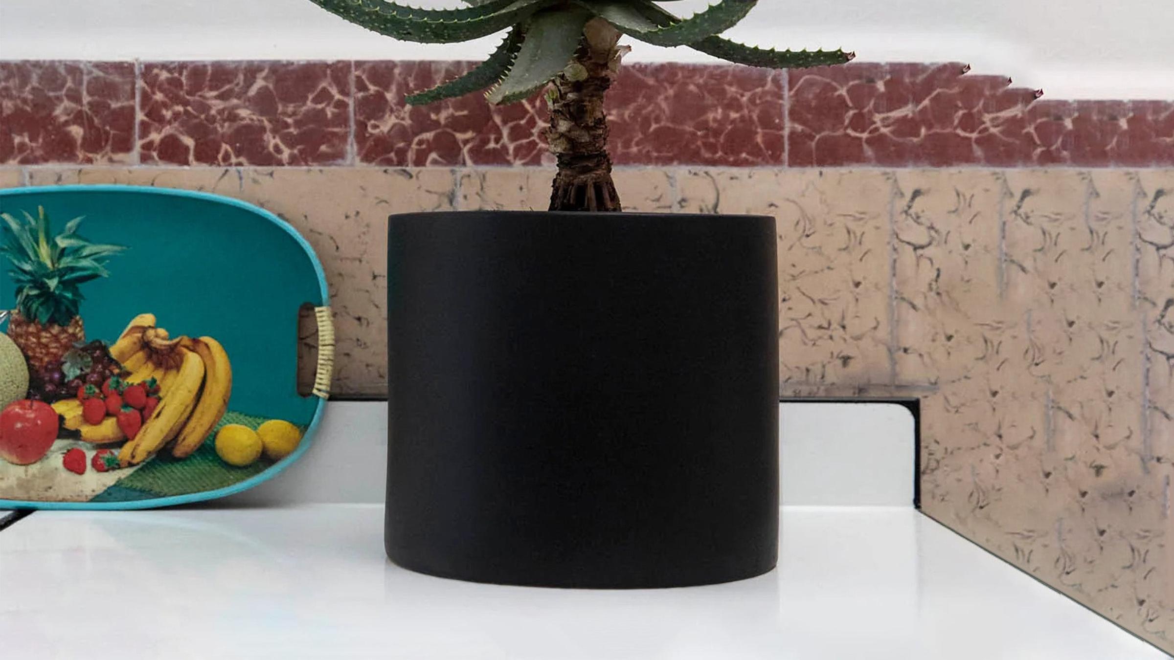 Monstruosus Planter Model One Ceramic Planter