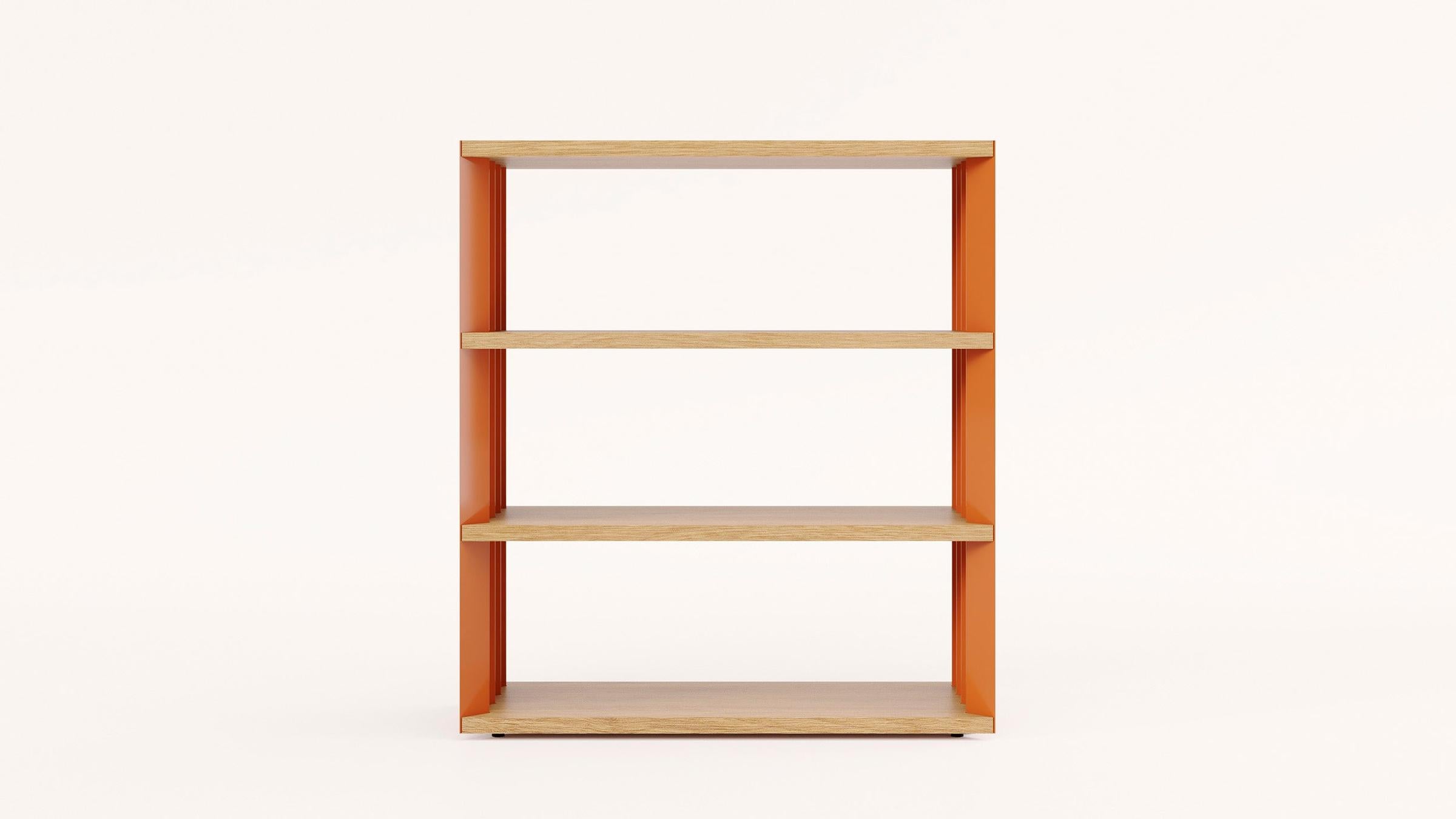 Zanotta Bookcase Z24 Books