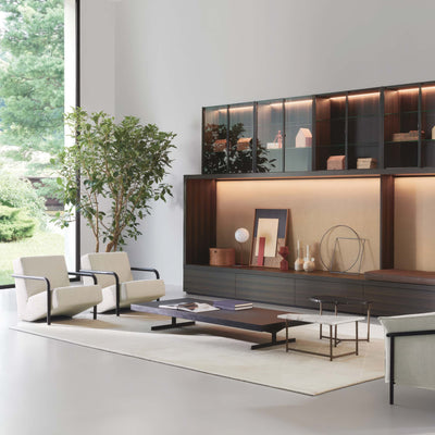 Multifunctional - TV HI-FI - Modular System