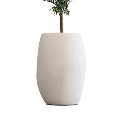 Indigenus Pebble by Glenn Pushelberg & George Yabu. A small tree grows in a smooth white concrete planter.