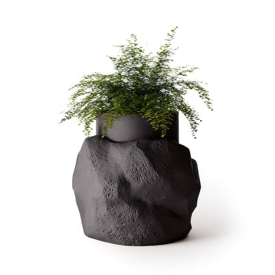 Indigenus Petra by Fernando Mastrangelo. A delicate green fern spills from a dark textured stone planter.