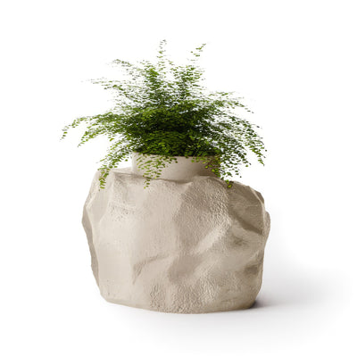 Indigenus Petra by Fernando Mastrangelo. A delicate trailing plant overflows from a textured stone pot.