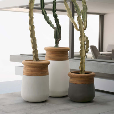 Indigenus Soma by Laurie Wiid van Heerden. Three ceramic pots with wooden rims hold cascading green cacti indoors.