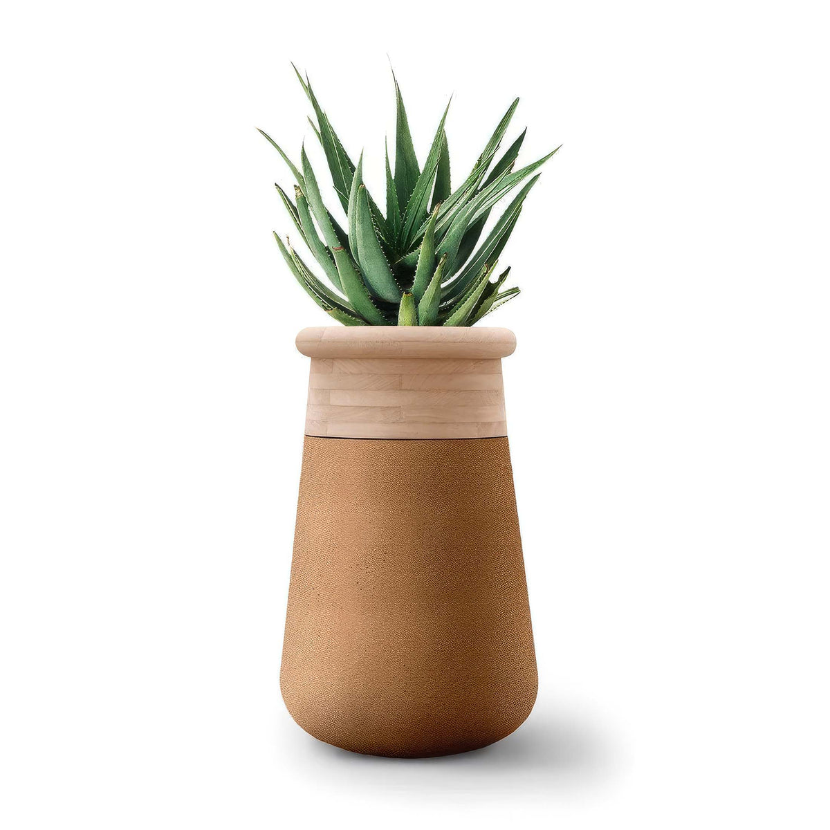 Indigenus Soma by Laurie Wiid van Heerden. A green succulent plant sits in a two-tone pot with wood and tan leather.