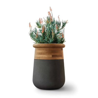Indigenus Soma by Laurie Wiid van Heerden. A potted plant with orange flowers sits in a two-tone wooden and charcoal planter.