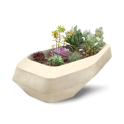 Indigenus Steen by Stefan Antoni and Greg Truen. A cream and gray concrete planter holds colorful succulents in earthy tones.