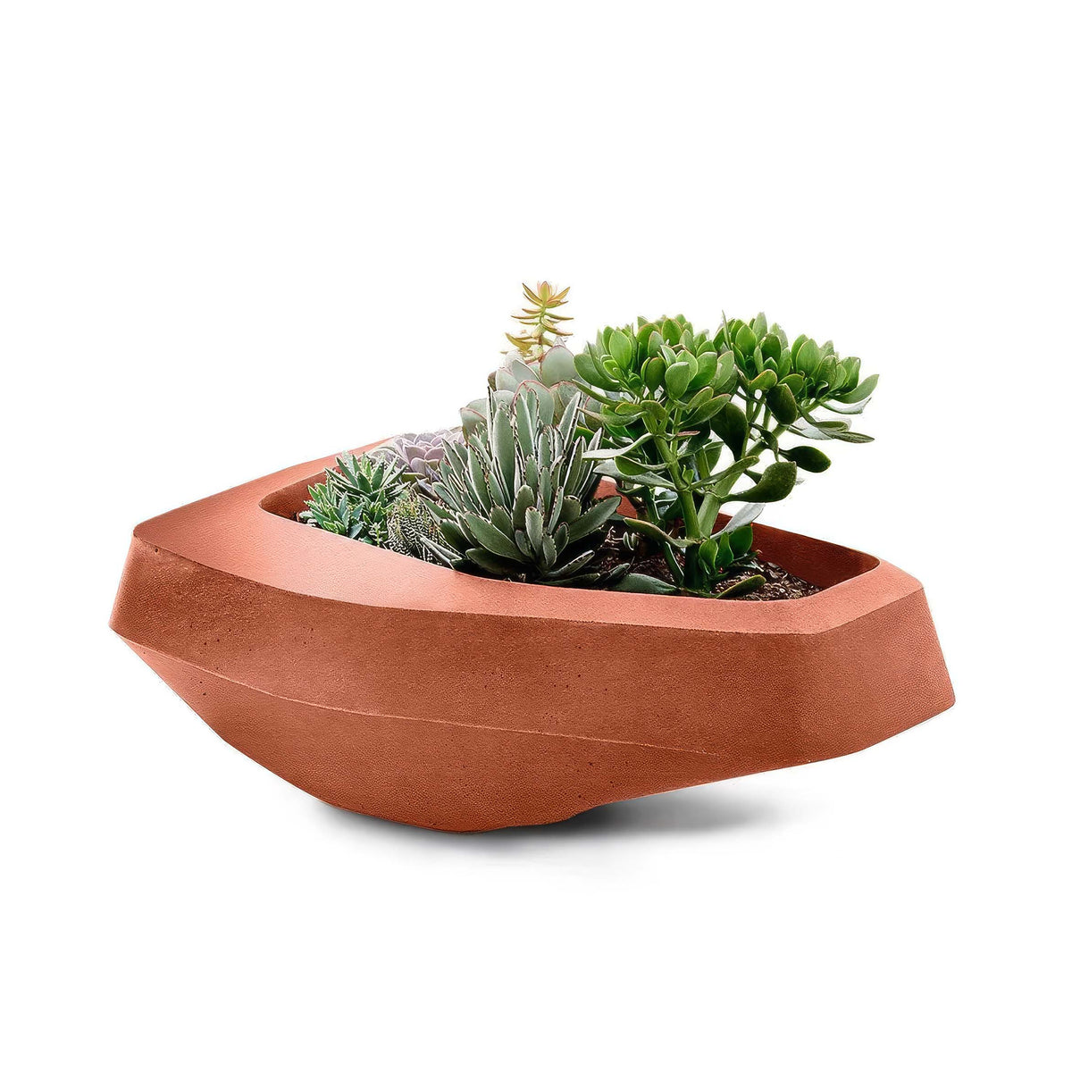 Indigenus Steen by Stefan Antoni and Greg Truen. Terracotta planter holds various succulent plants in earth tones.