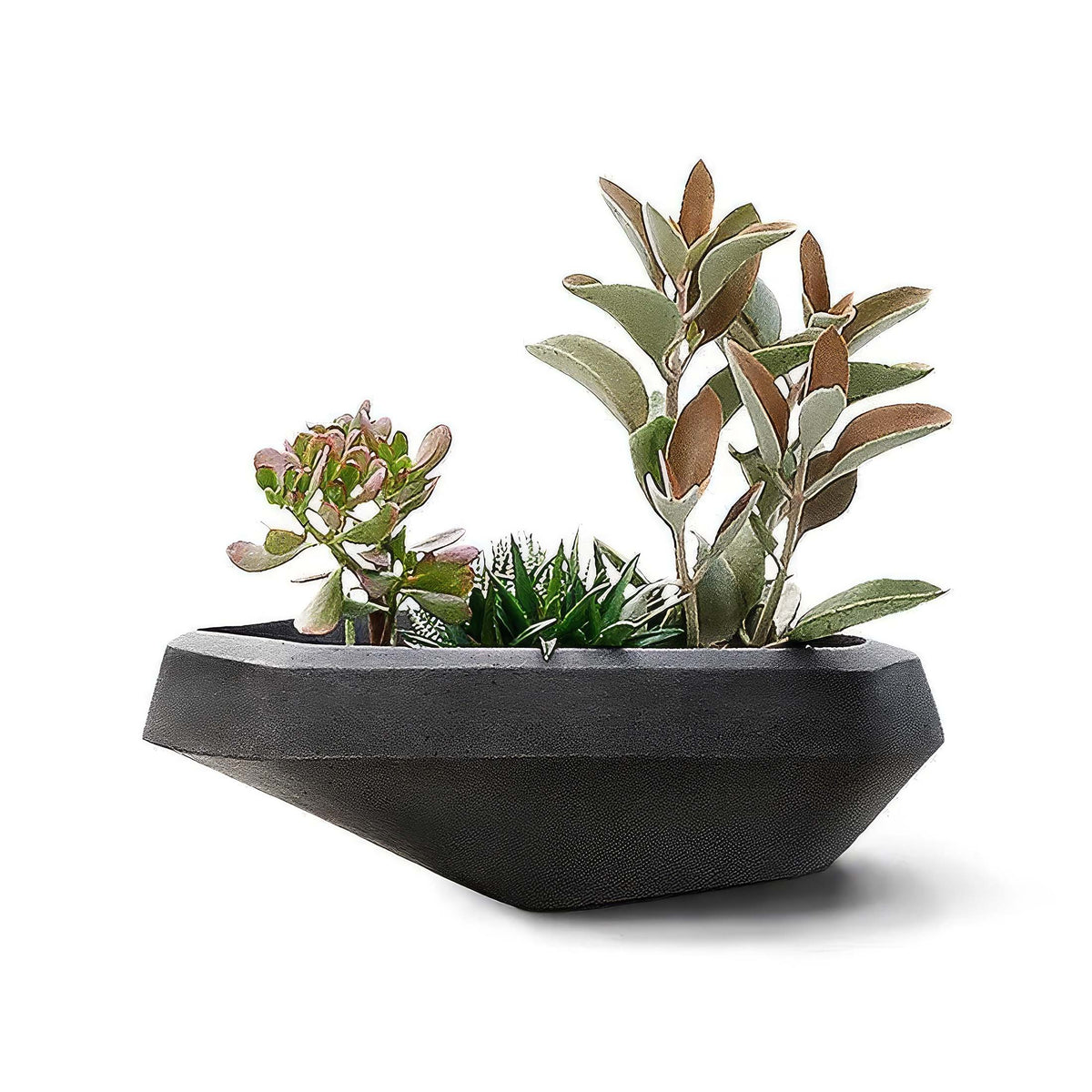 Indigenus Steen by Stefan Antoni and Greg Truen. A modern dark gray concrete planter holds three succulent plants.