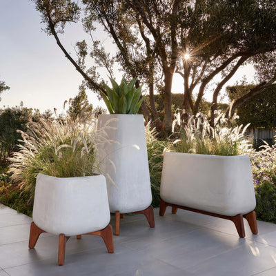 Indigenus Terra by Laurie Wiid van Heerden. White ceramic planters with wooden legs display ornamental grasses.
