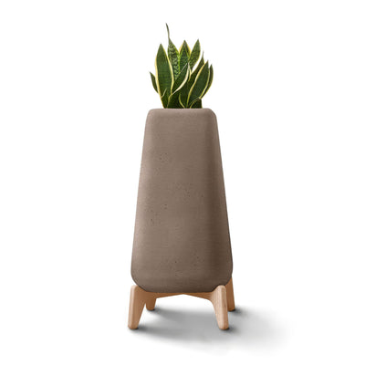 Indigenus Terra by Laurie Wiid van Heerden. A potted snake plant sits in a taupe concrete planter with wooden legs.